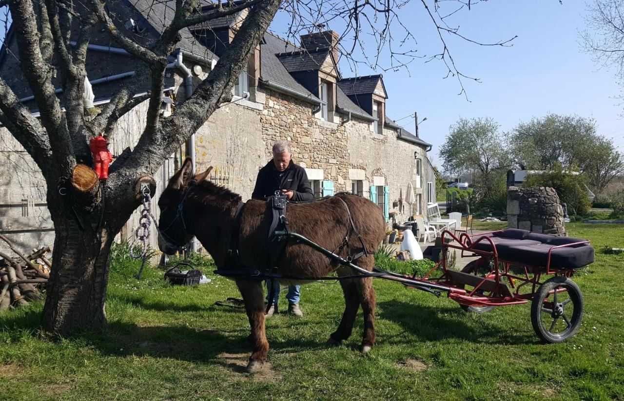 Gite Annarmor Mont St Michel Tremereuc Экстерьер фото